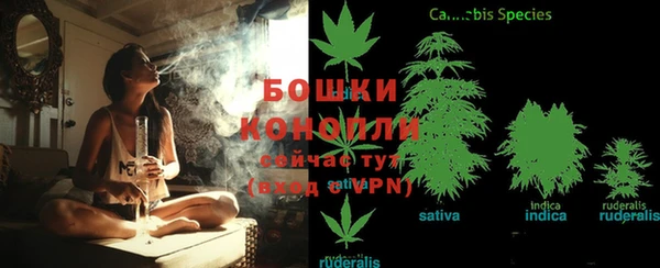 мет Дмитров