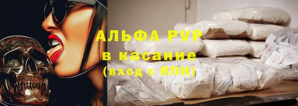 СК Дмитровск