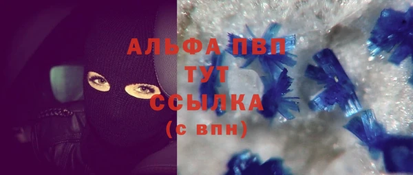 твердый Гусь-Хрустальный