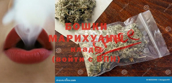 молекула духа Гусиноозёрск