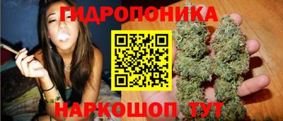гашик Свободный