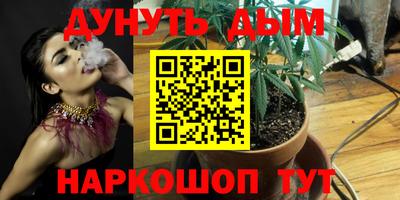 гашик Свободный