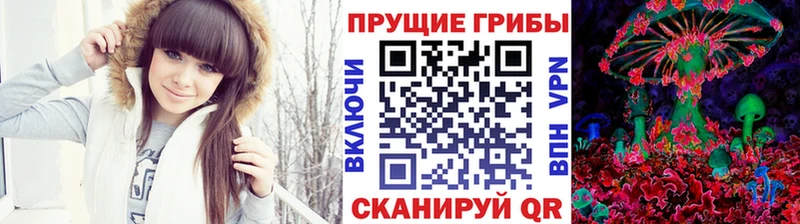 Псилоцибиновые грибы Psilocybe Усть-Джегута